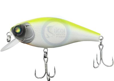 Aicas Pro Series Wasabi